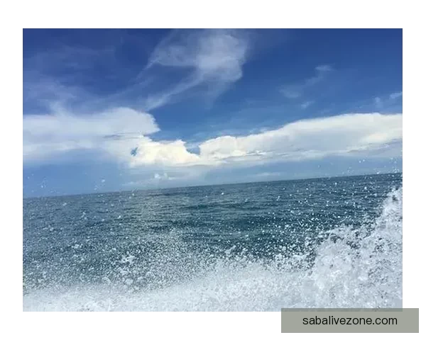 沙巴登录出现问题的原因及解决方法全解析