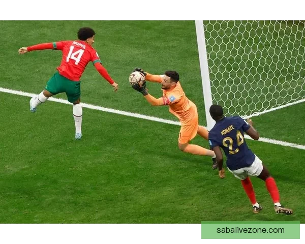 世界杯足球竞猜网站：畅享全球赛事预测，赢取丰厚奖励，挑战你的足球智力极限