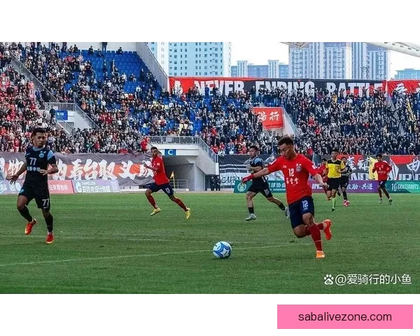 中甲第七轮延边定南主场观众破万场均接近一万人 中甲第七轮延边定南主场观众破万场均接近一万人